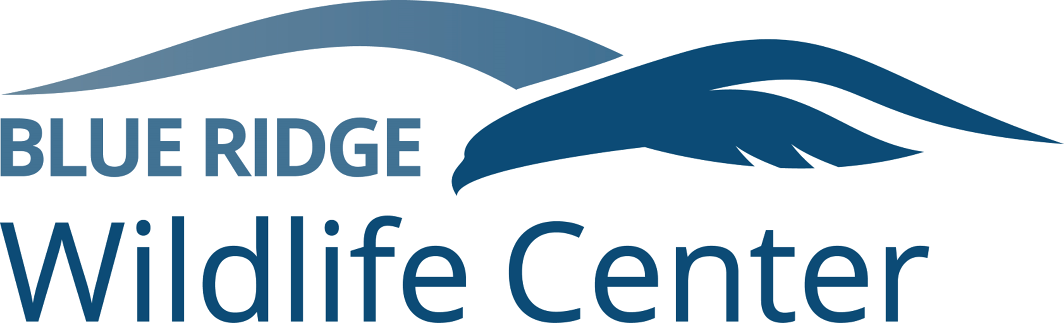 Blue Ridge Wildlife Center