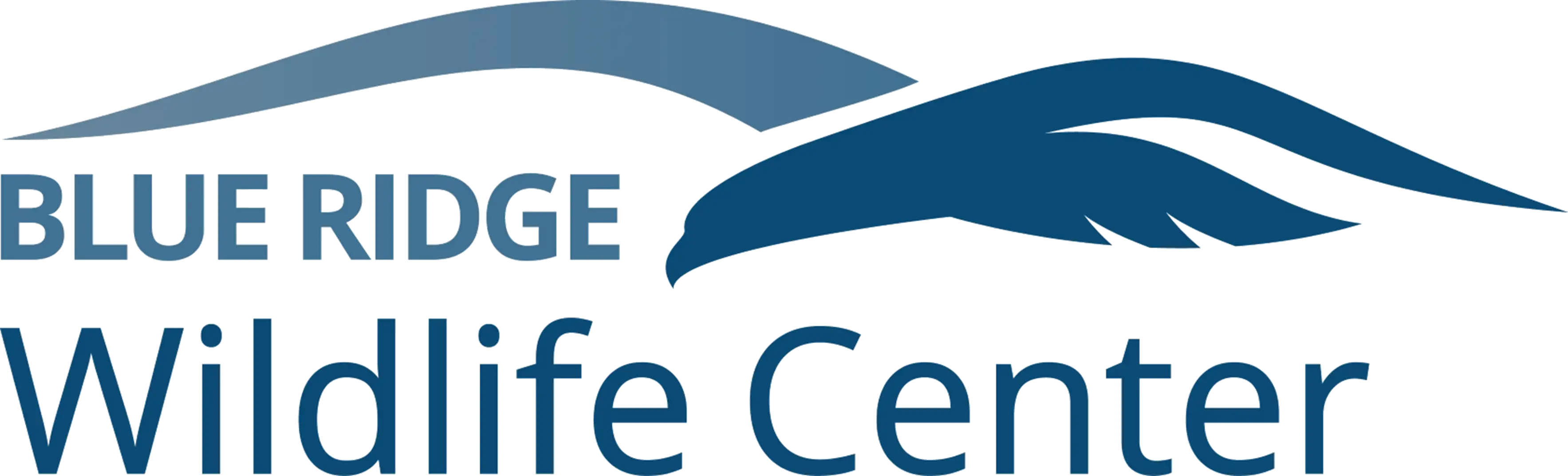 Blue Ridge Wildlife Center